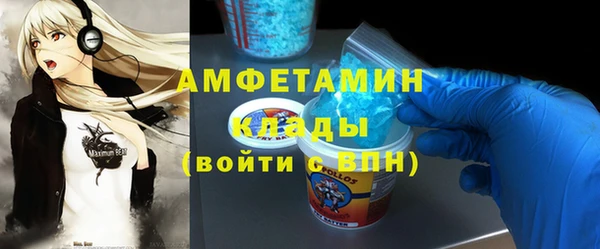 стаф Аркадак