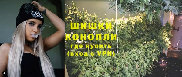 стаф Аркадак