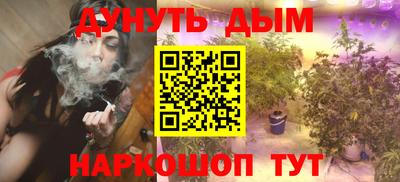 прущие грибы Абакан
