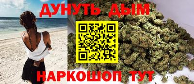 прущие грибы Абакан