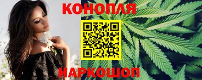 прущие грибы Абакан