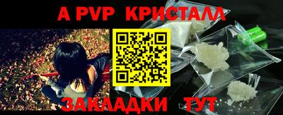 прущие грибы Абакан
