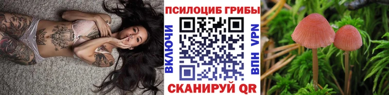 Псилоцибиновые грибы Magic Shrooms  Балабаново 