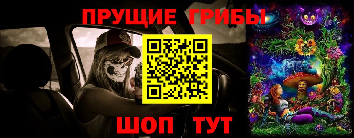 Псилоцибиновые грибы Psilocybe Балабаново